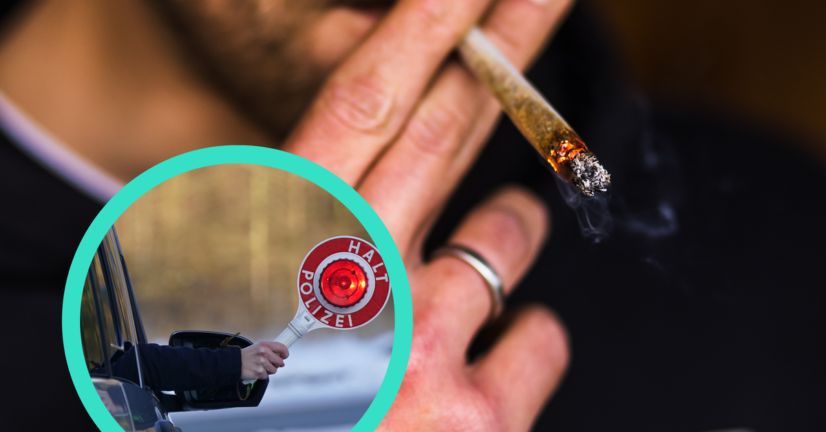 Cannabis am Steuer Welche Werte sind beim Autofahren erlaubt?
